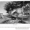 Elm Grove Tavern